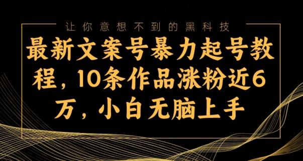 最新文案号暴力起号教程，10条作品涨粉近6万，小白无脑上手-泡泡网赚