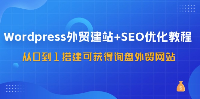 WordPress外贸建站+SEO优化教程，从0到1搭建可获得询盘外贸网站(57节课)-泡泡网赚