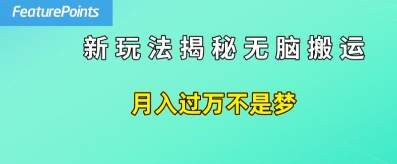 简单操作，每天50美元收入，搬运就是赚钱的秘诀【揭秘】-泡泡网赚