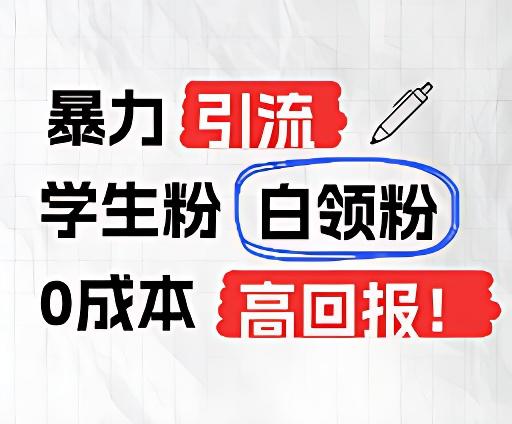 暴力引流学生粉白领粉，吊打以往垃圾玩法，0成本，高回报-泡泡网赚
