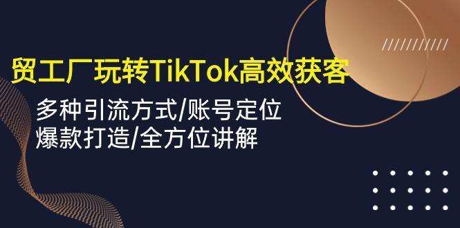 外贸工厂玩转TikTok高效获客，多种引流方式/账号定位/爆款打造/全方位讲解-泡泡网赚