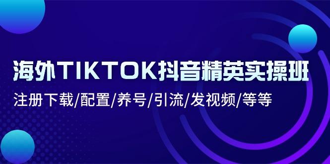 海外TIKTOK抖音精英实操班：注册下载/配置/养号/引流/发视频/等等-泡泡网赚