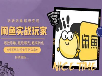 手把手教你0到1系统玩转闲鱼变现，爆款思维/超级曝光/超高转化-泡泡网赚