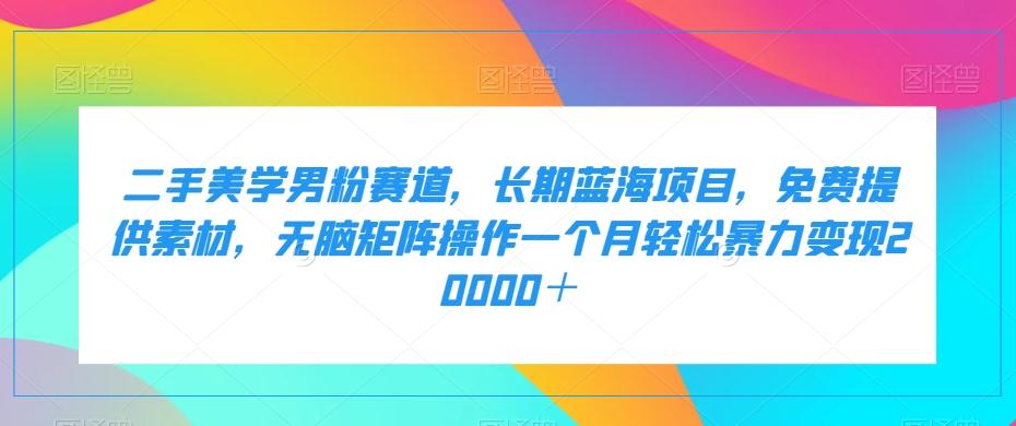 二手美学男粉赛道，长期蓝海项目，无脑矩阵操作一个月轻松暴力变现20000＋-泡泡网赚