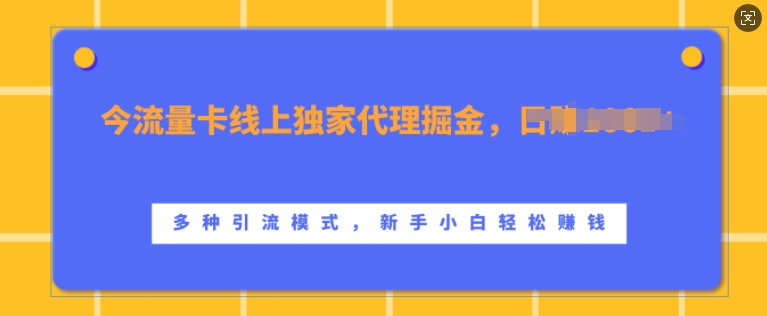 流量卡线上独家代理掘金，日入1k+ ，多种引流模式，新手小白轻松上手【揭秘】-泡泡网赚