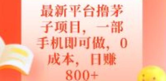 最新平台撸茅子项目，一部手机即可做，0成本，日赚800+-泡泡网赚