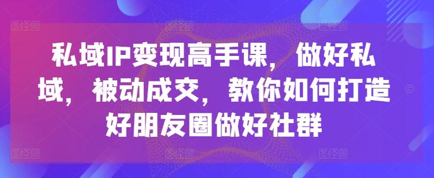 私域IP变现高手课，做好私域，被动成交，教你如何打造好朋友圈做好社群-泡泡网赚