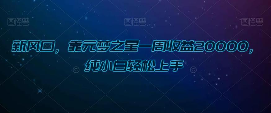 新风口，靠元梦之星一周收益20000，纯小白轻松上手-泡泡网赚