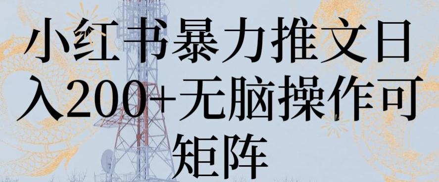 小红书暴力推文日入200+无脑操作可矩阵【揭秘】-泡泡网赚