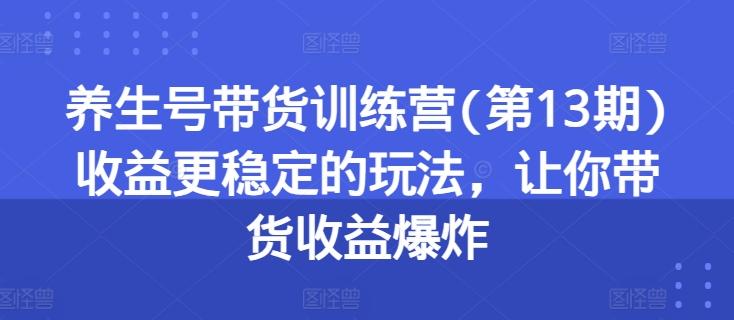 养生号带货训练营(第13期)收益更稳定的玩法，让你带货收益爆炸-泡泡网赚