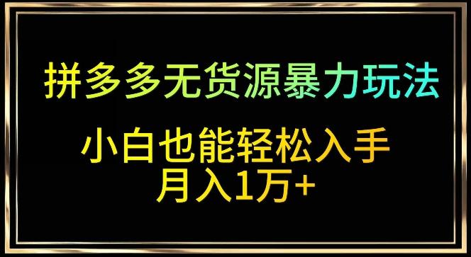 拼多多无货源暴力玩法，全程干货，小白也能轻松入手，月入1万+【揭秘】-泡泡网赚