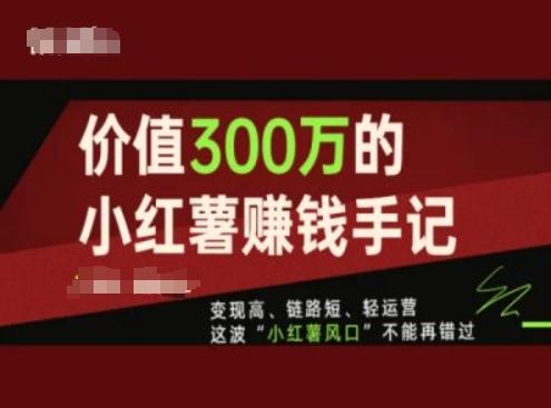 价值300万的小红书赚钱手记，变现高、链路短、轻运营，这波“小红薯风口”不能再错过-泡泡网赚