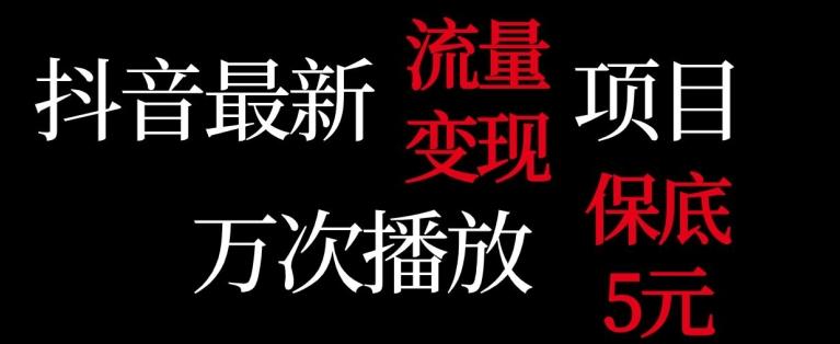 抖音流量变现，万次播放保底5元，额外收入-泡泡网赚