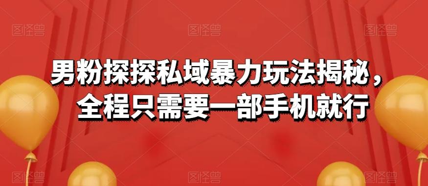 男粉探探私域暴力玩法揭秘，全程只需要一部手机就行-泡泡网赚