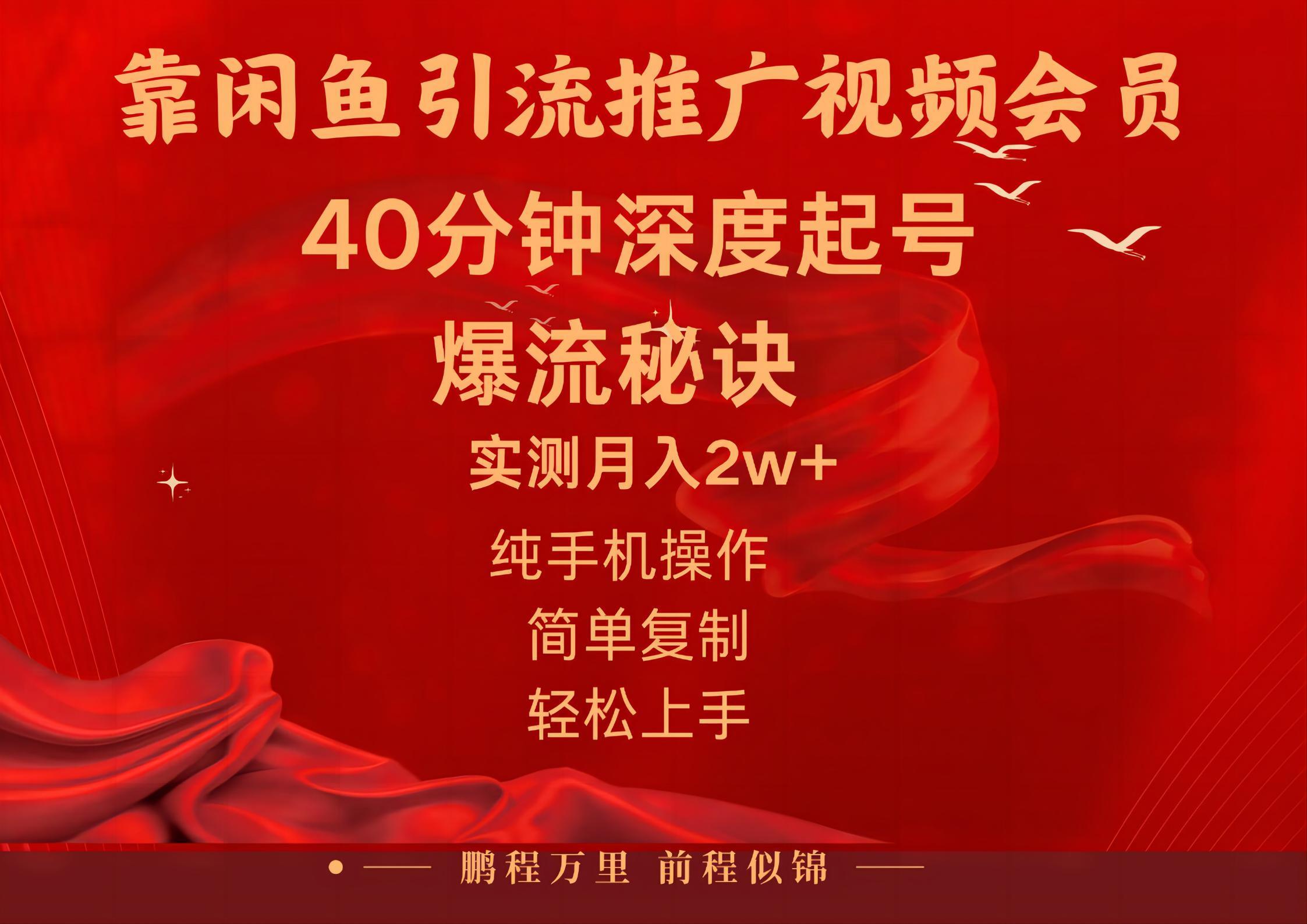 闲鱼暴力引流推广视频会员，能做到日入2W+，操作简单-泡泡网赚