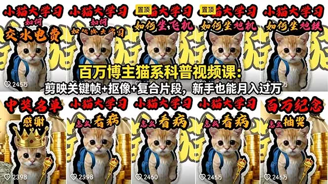 百万博主猫系科普视频课：剪映关键帧+抠像+复合片段，新手也能月入过万-泡泡网赚