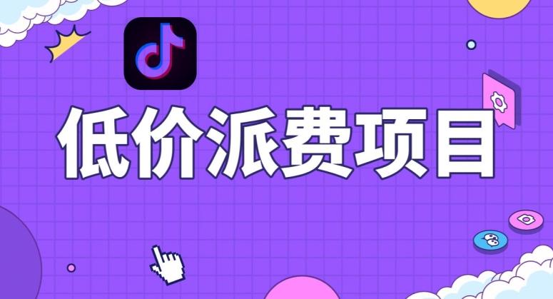 抖音低价派单项目，0门槛，日入1000+很轻松，小白可操作【揭秘】-泡泡网赚