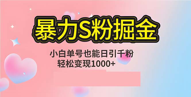 单人单机日引千粉，变现1000+，S粉流量掘金计划攻略-泡泡网赚