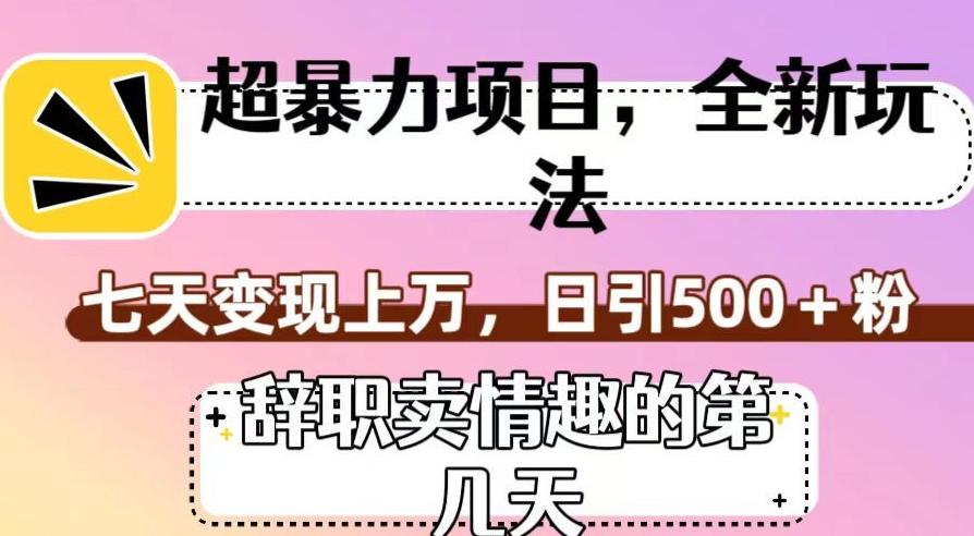 超暴利项目，全新玩法（辞职卖情趣的第几天），七天变现上万，日引500+粉【揭秘】-泡泡网赚