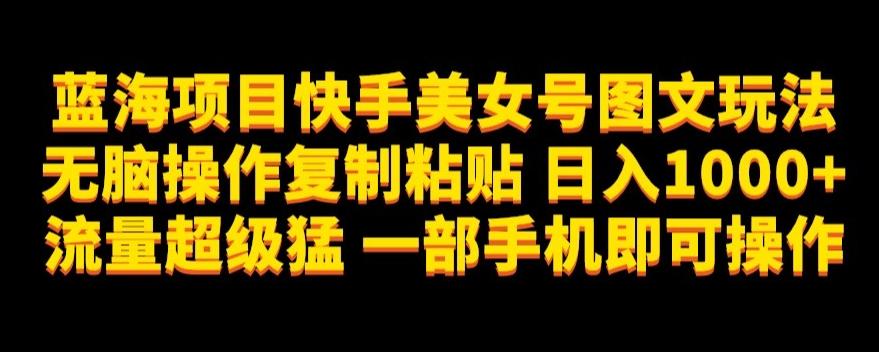 蓝海项目快手美女号图文玩法，超级猛一部手机即可操作【揭秘】-泡泡网赚