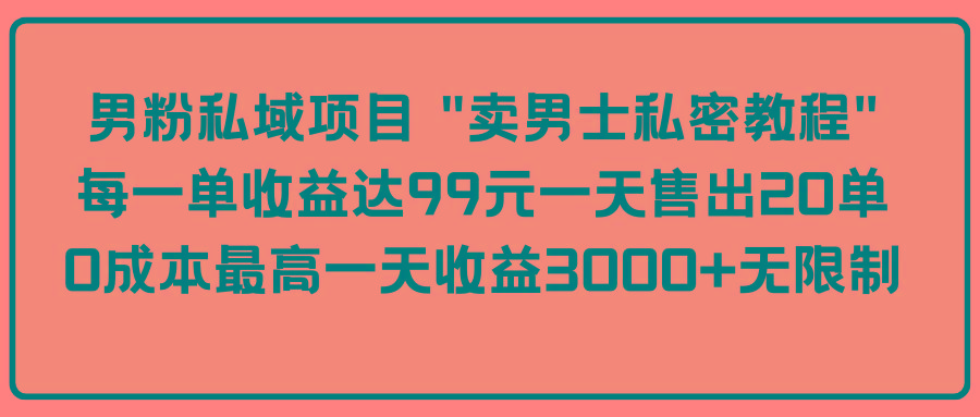 (9730期)男粉私域项目 “卖男士私密教程” 每一单收益达99元一天售出20单-泡泡网赚