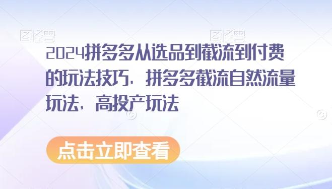 2024拼多多从选品到截流到付费的玩法技巧，拼多多截流自然流量玩法，高投产玩法-泡泡网赚