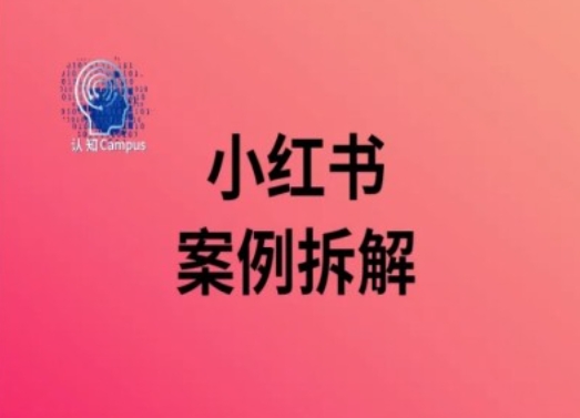 小红书案例拆解，深度解读小红书40万粉-泡泡网赚