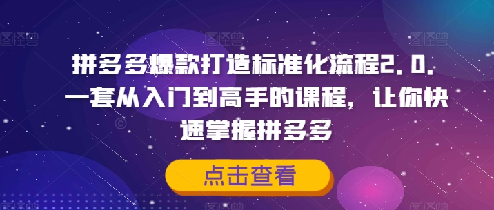 拼多多爆款打造标准化流程2.0，一套从入门到高手的课程，让你快速掌握拼多多-泡泡网赚