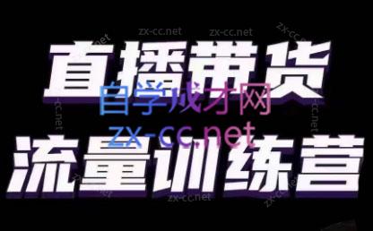 婉婉·直播带货课程系列合集(更新8月)-泡泡网赚