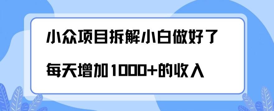 小众项目拆解，小白做好了每天可增加1000多的收入-泡泡网赚