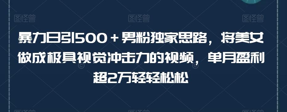 暴力日引500＋男粉独家思路，将美女做成极具视觉冲击力的视频，单月盈利超2万轻轻松松-泡泡网赚