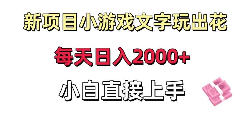 新项目小游戏文字玩出花日入2000+，每天只需一小时，小白直接上手【揭秘】-泡泡网赚