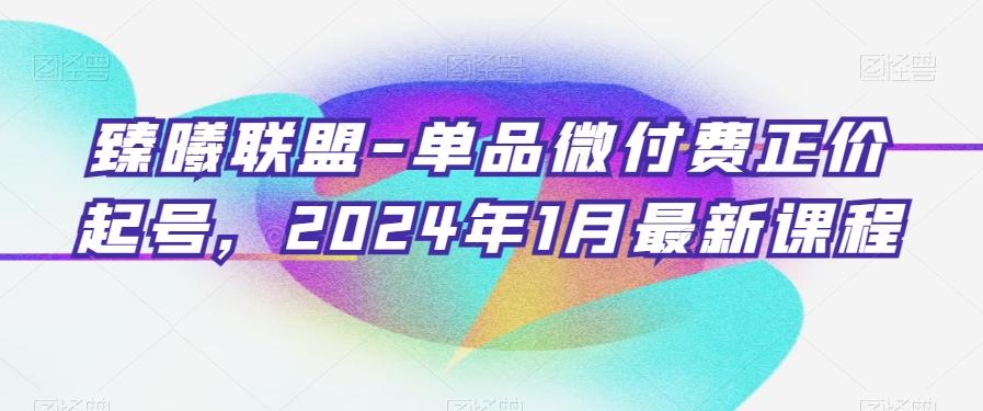 臻曦联盟-单品微付费正价起号，2024年1月最新课程-泡泡网赚