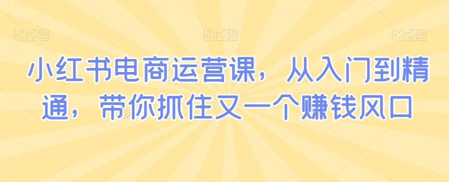 小红书电商运营课，从入门到精通，带你抓住又一个赚钱风口-泡泡网赚