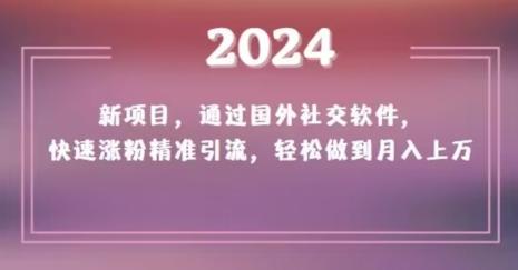 2024新项目，通过国外社交软件，快速涨粉精准引流，轻松做到月入上万【揭秘】-泡泡网赚
