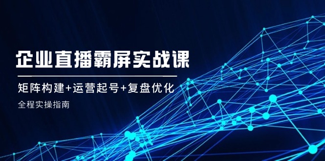 企业直播霸屏实战课：矩阵构建+运营起号+复盘优化，全程实操指南-泡泡网赚