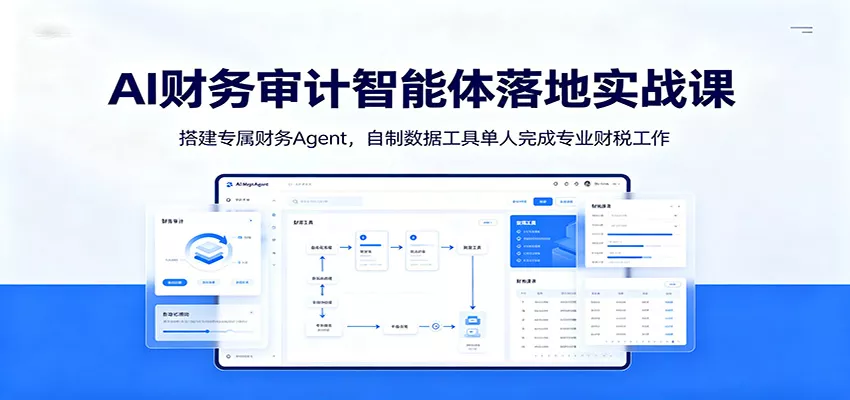 AI财务审计智能体落地实战课：搭建专属财务Agent，自制数据工具单人完成专业财税工作-泡泡网赚