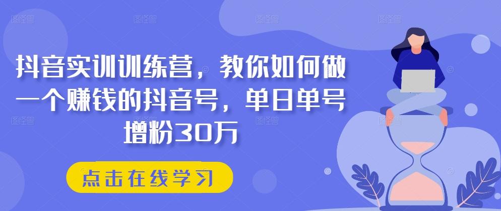 抖音实训训练营，教你如何做一个赚钱的抖音号，单日单号增粉30万-泡泡网赚