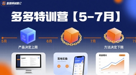 多多特训营，产品决定上限，方法决定下限，各种玩法技巧落地实操(更新)-泡泡网赚