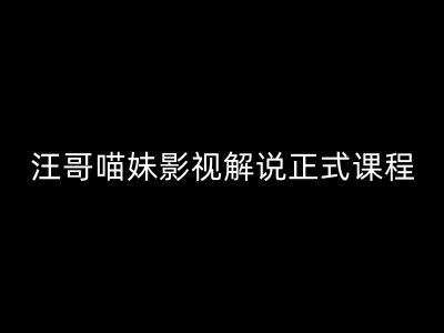 汪哥影视解说正式课程：剪映/PR教学/视解说剪辑5大黄金法则/全流程剪辑7把利器等等-泡泡网赚