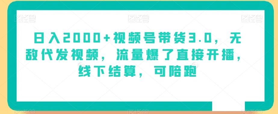 日入2000+视频号带货3.0，无敌代发视频，流量爆了直接开播，线下结算，可陪跑-泡泡网赚