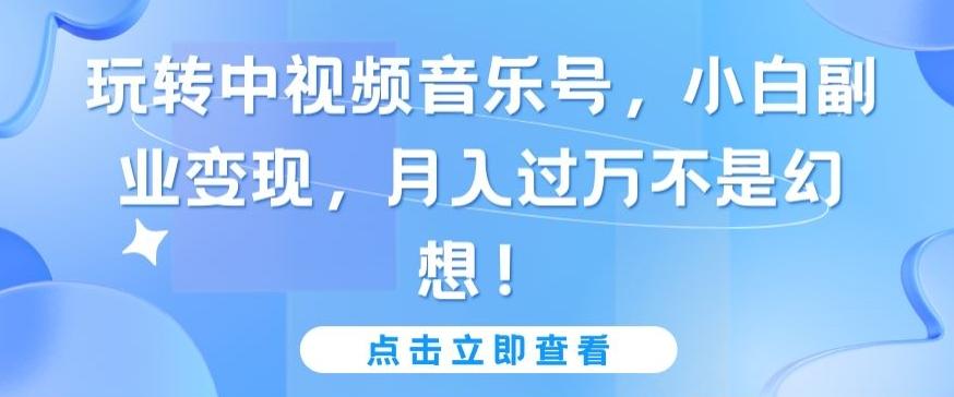 玩转中视频音乐号，小白副业变现，月入过万不是幻想【揭秘】-泡泡网赚