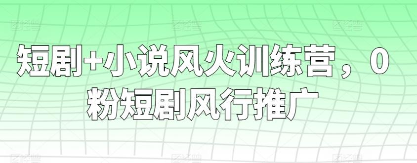 短剧+小说风火训练营，0粉短剧风行推广-泡泡网赚