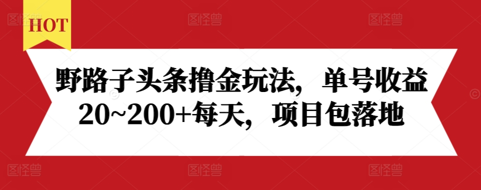 野路子头条撸金玩法，单号收益20~200+每天，项目包落地-泡泡网赚