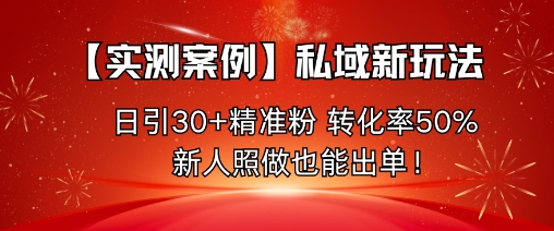 【实测案例】私域新玩法，日引30+精准粉，转化率50%，新人照做也能出单！-泡泡网赚