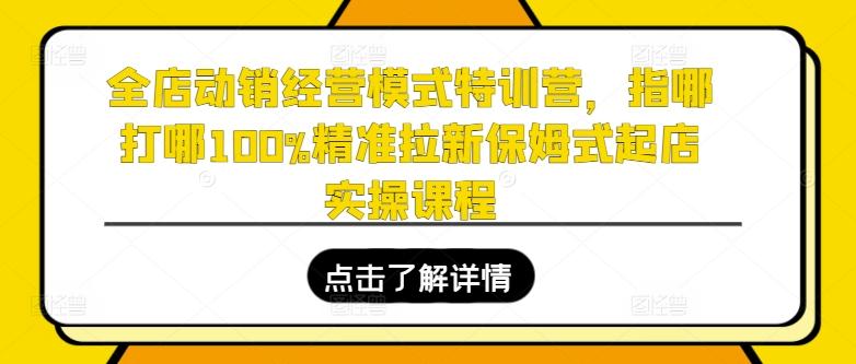 全店动销经营模式特训营，指哪打哪100%精准拉新保姆式起店实操课程-泡泡网赚
