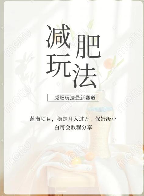 减肥流量主新玩法，轻松月入1W，可矩阵操作收入翻倍-泡泡网赚