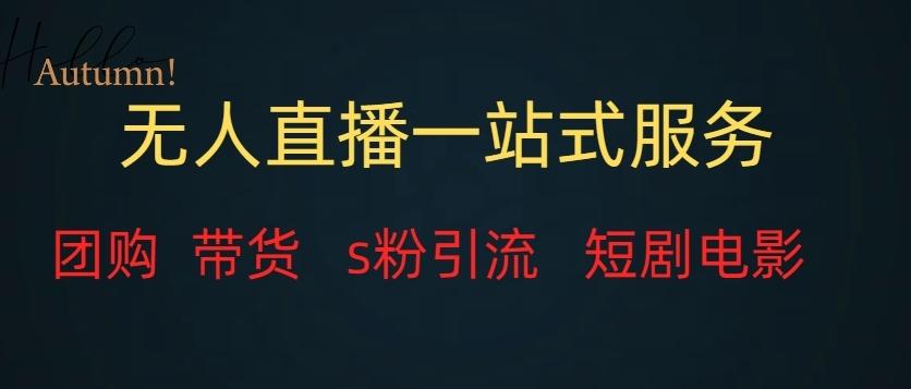 无人直播一站式服务（教程以及变现方式）-泡泡网赚