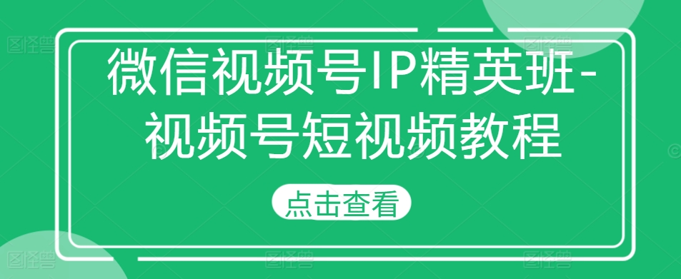 微信视频号IP精英班-视频号短视频教程-泡泡网赚