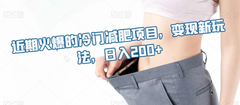 近期火爆的冷门减肥项目，变现新玩法，日入200+-泡泡网赚